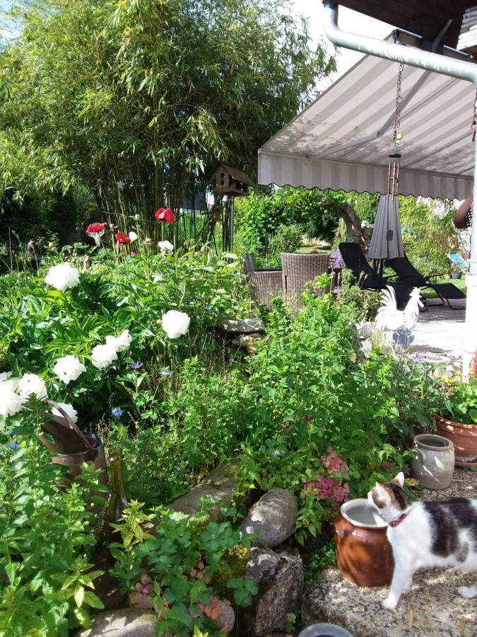 Bed and Breakfast Le Grive Chevremont Екстер'єр фото
