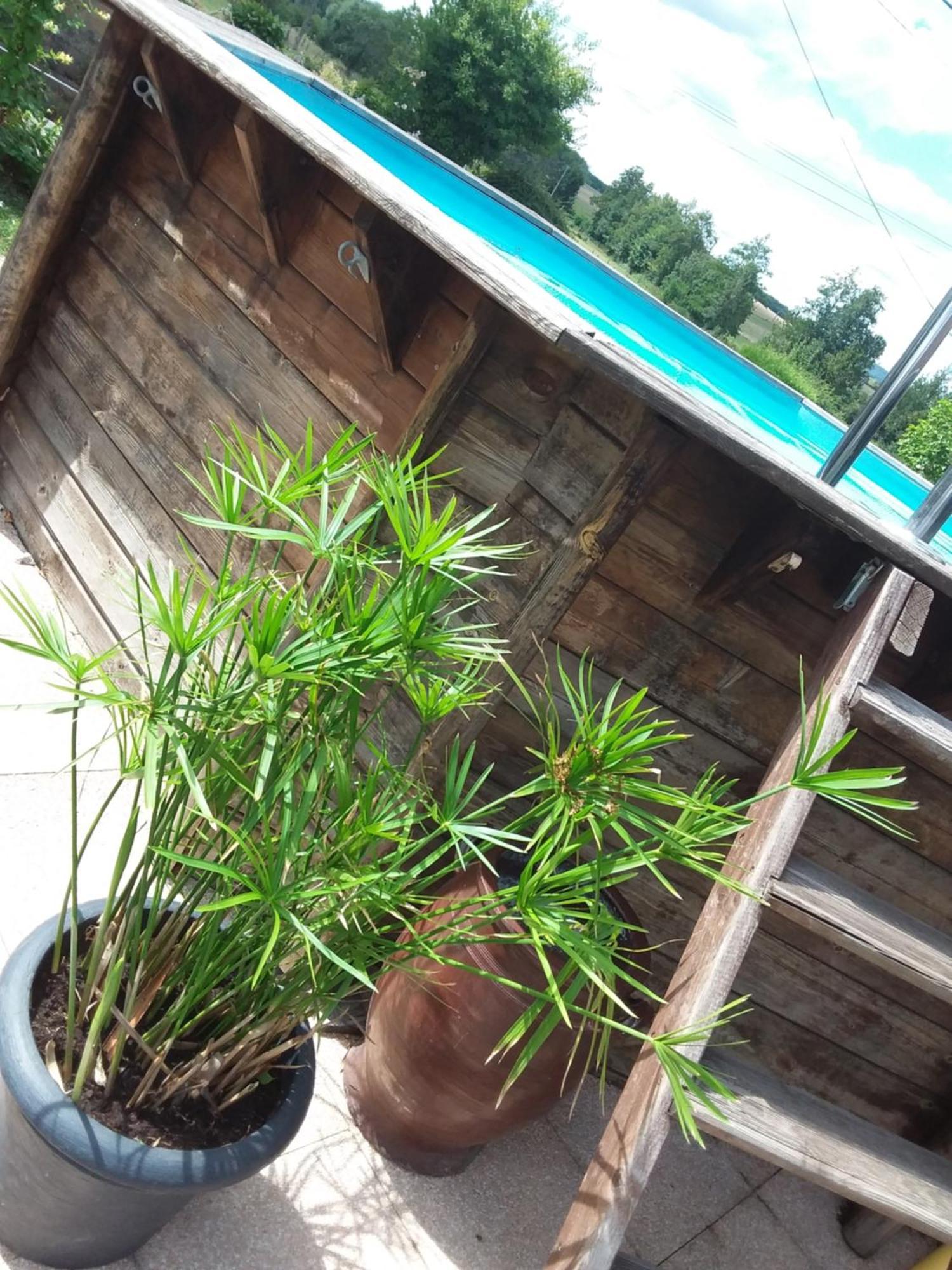 Bed and Breakfast Le Grive Chevremont Екстер'єр фото
